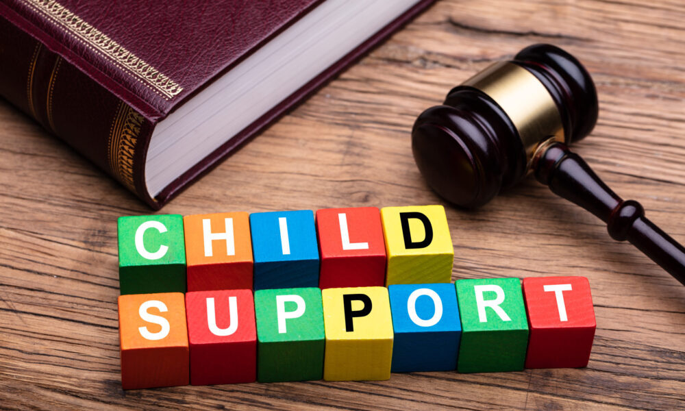 Monthly child support guidelines for British Columbia families explained by DSG Family Law in Langley, BC.
