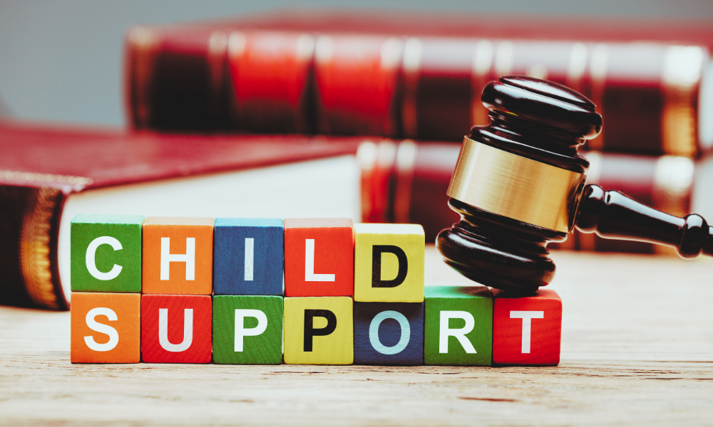 Imputing parents Income for Child Support in British Columbia explained by Darlene Sandhu of DSG Family Law