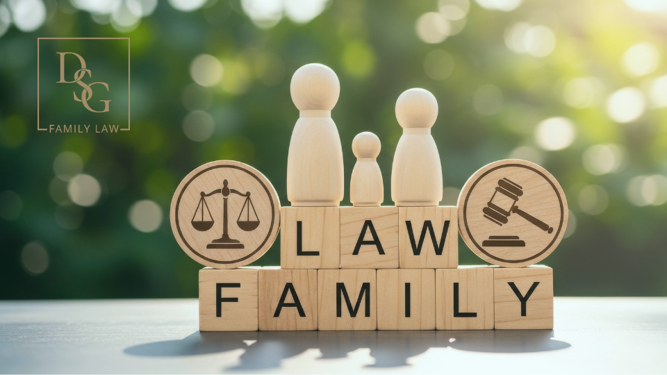 How to appeal British Columbia Family Court Decisions with the help of DSG Family Law